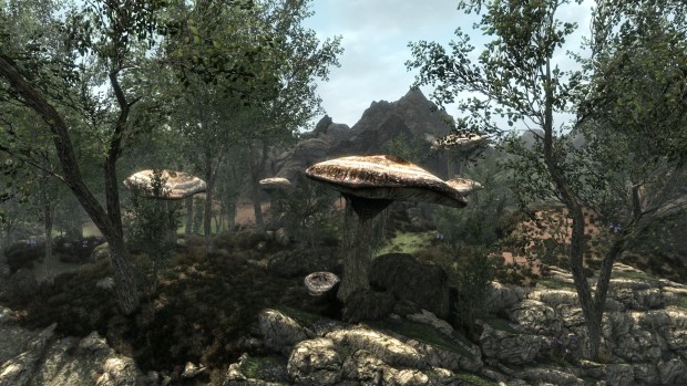 Landschaft nahe Balmora in Morrowind (Screenshot: Marc Sauter/Golem.de)