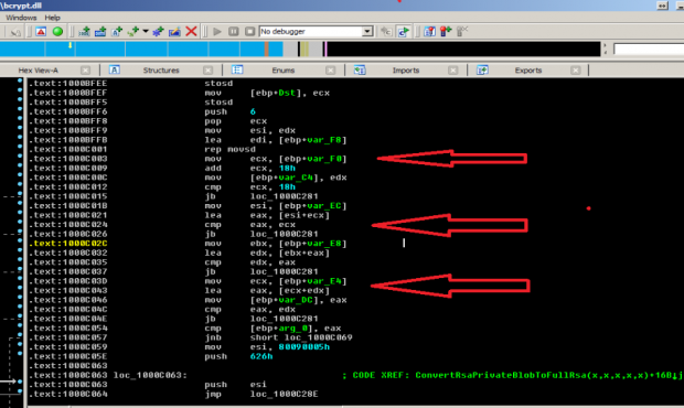Verdächtiger Code in einer Windows-Bibliothek (Bild: Marion Marschalek und Joseph Moti)