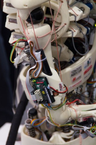 Die Robotiker haben den menschlichen Bewegungsapparat nachgebildet. (Foto: Werner Pluta/Golem.de)