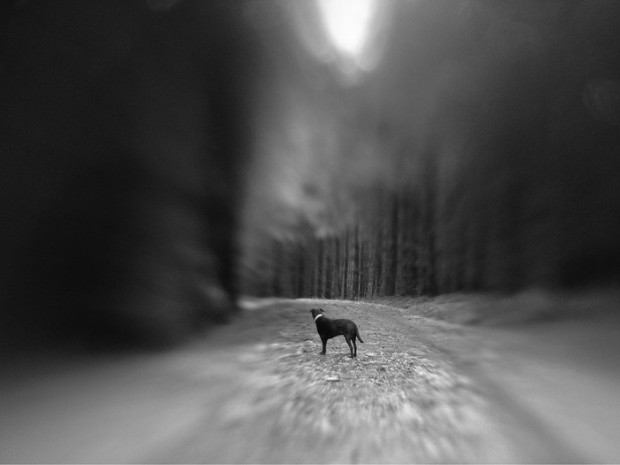 Lensbaby LM-10 (Bild: Keri Friedman/Kickstarter)