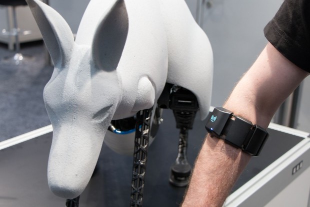 Gesteuert wird der Roboter &uuml;ber Gesten. Der Lagesensor in dem Armband nimmt die Bewegung auf und wandelt sie in Kommandos um. (Foto: Werner Pluta/Golem.de)