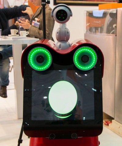 Er soll Touristen draußen herumführen und sie über den Ort informieren. Auf seinem Kopf hat er einen Laserpointer, mit dem er auf Details deuten kann. (Foto: Werner/Golem.de)