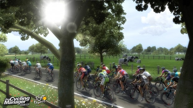 Tour de France 2014 - Der offizielle Radsport-Manager (Bild: Cyanide Studio)
