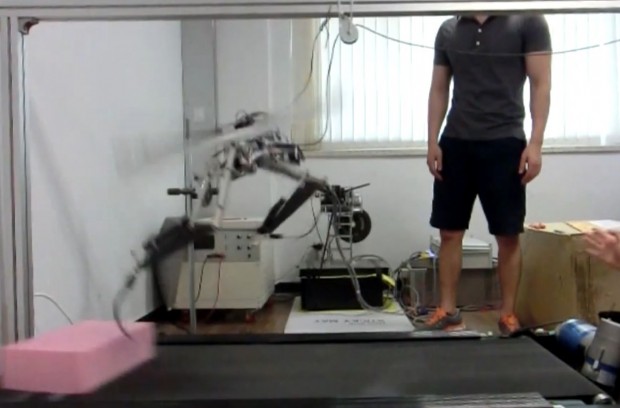 Sein rotierender Schwanz stabilisiert den Roboter so, dass er nicht über Hindernisse stolpert. (Bild: Kaist/Screenshot: Golem.de)