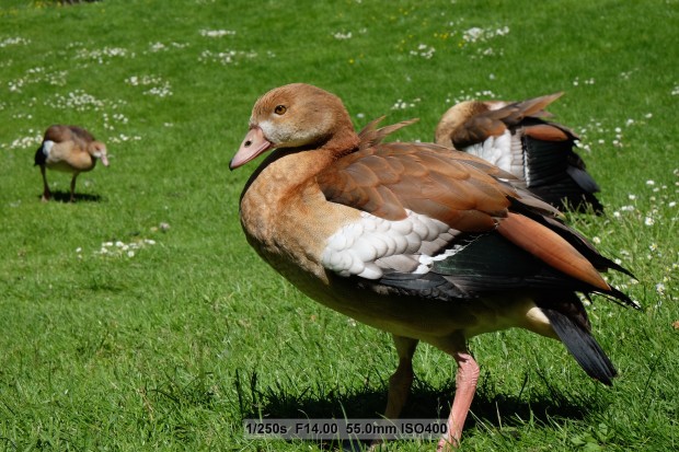 Bilder mit der Fujifilm X-T1 (Bild: Andreas Donath)