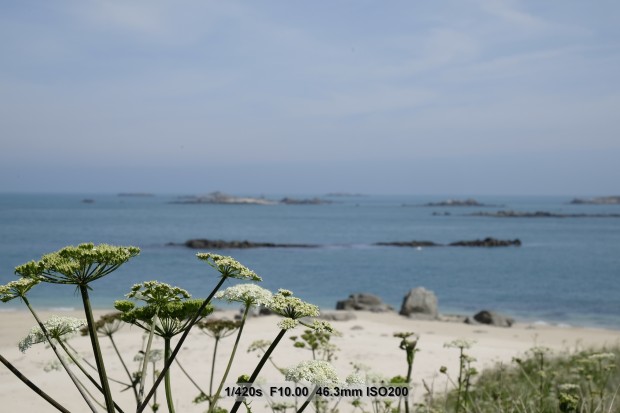 Bilder mit der Fujifilm X-T1 (Bild: Andreas Donath)