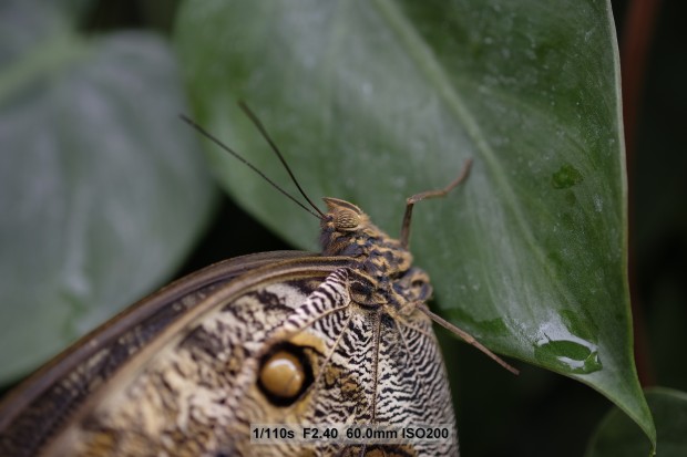 Bilder mit der Fujifilm X-T1 (Bild: Andreas Donath)