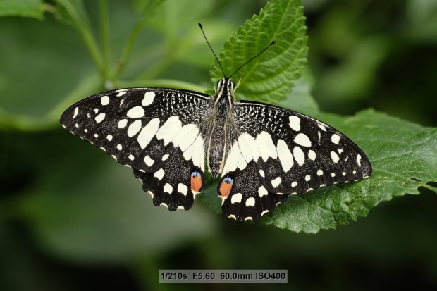 Bilder mit der Fujifilm X-T1 (Bild: Andreas Donath)