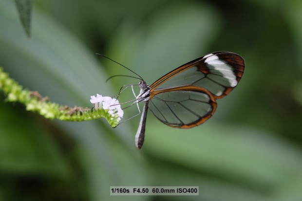 Bilder mit der Fujifilm X-T1 (Bild: Andreas Donath)