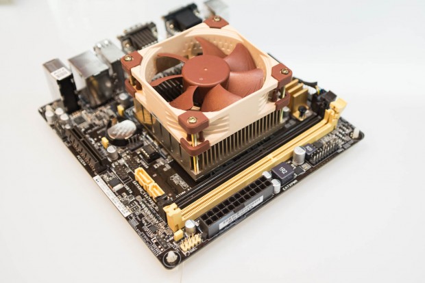 Der L-Type für den Sockel AM1 (Bild: Fabian Hamacher/Golem.de)