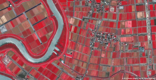 Auch Landwirte profitieren von den Bilder - diese Infrarotaufnahme zeigt Felder auf der japanischen Insel Kyushu.  (Foto: Skybox Imaging)