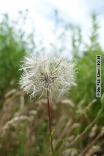 Beispielfotos Sony RX100 III (Bild: Andreas Donath)