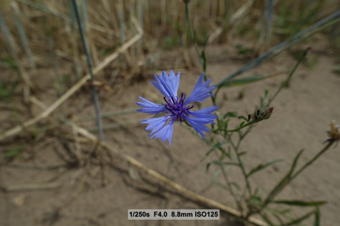 Beispielfotos Sony RX100 III (Bild: Andreas Donath)
