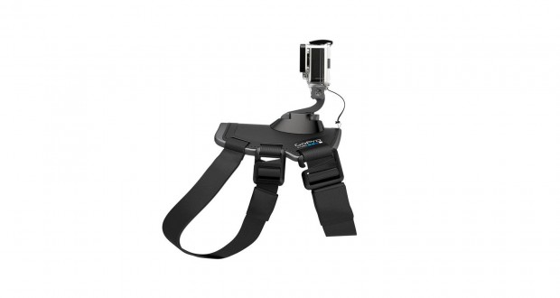 Gopro Fetch Mount (Bild: Gopro)