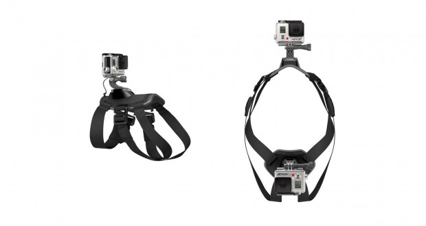 Gopro Fetch Mount (Bild: Gopro)