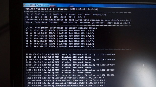Die Ausgabe von Cgminer von der Arbeit eines Wolfcase