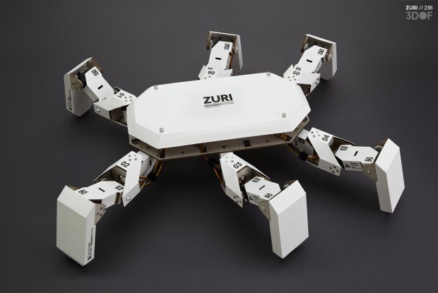 Der große Roboter bietet zwar auch nur bis zu 6 Beine, aber mehr Platz für Elektronik.(Foto: Zoobotics/Carsten Dammann)