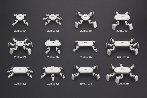 Mit nur zwei Basismodellen lässt sich eine große Modellauswahl erreichen.(Foto: Zoobotics/Carsten Dammann)