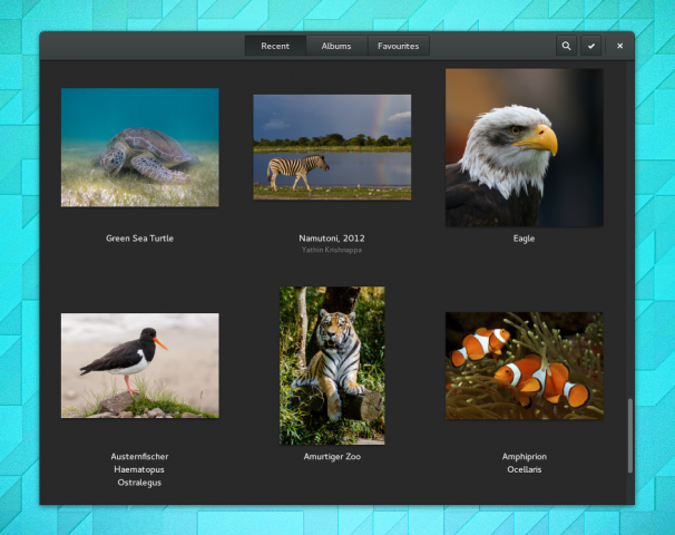 Die Fotoverwaltung greift jetzt direkt auf Inhalte bei Google zu.
