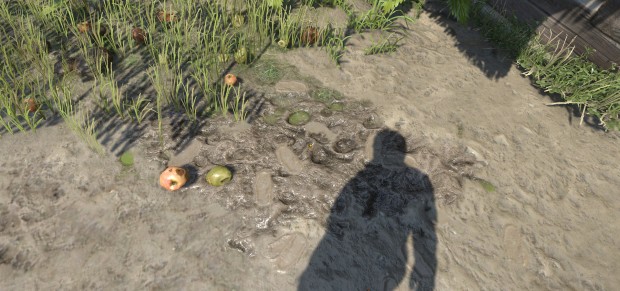 Kingdom Come Deliverance (Screenshot: Marc Sauter/Golem.de)