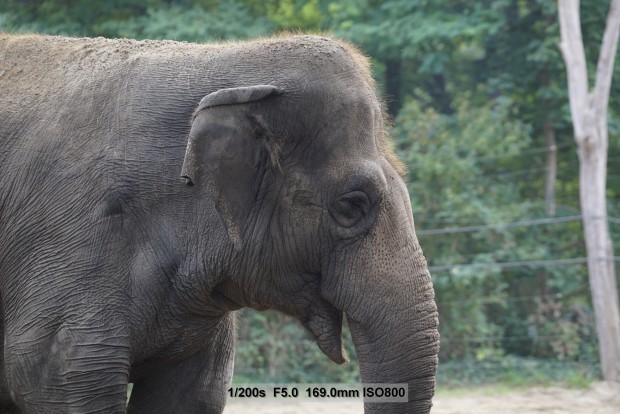 Sony A7S - Beispielbilder (Foto: Andreas Donath)