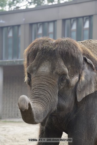 Sony A7S - Beispielbilder (Foto: Andreas Donath)