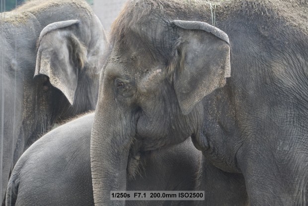 Sony A7S - Beispielbilder (Foto: Andreas Donath)