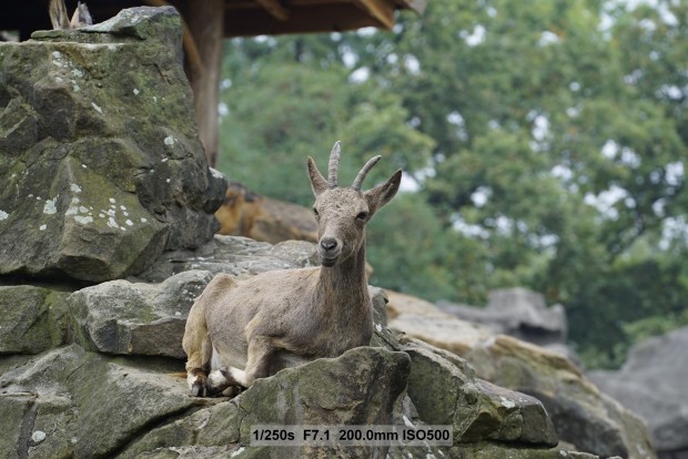 Sony A7S - Beispielbilder (Foto: Andreas Donath)