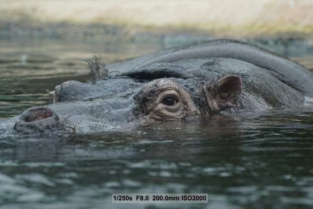 Sony A7S - Beispielbilder (Foto: Andreas Donath)