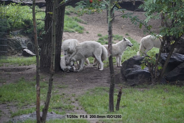 Sony A7S - Beispielbilder (Foto: Andreas Donath)