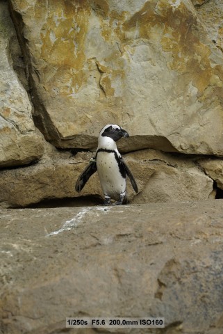 Sony A7S - Beispielbilder (Foto: Andreas Donath)