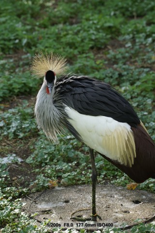 Sony A7S - Beispielbilder (Foto: Andreas Donath)