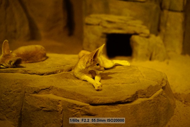 Sony A7S - Foto mit besonders hohem ISO-Wert (Foto: Andreas Donath)