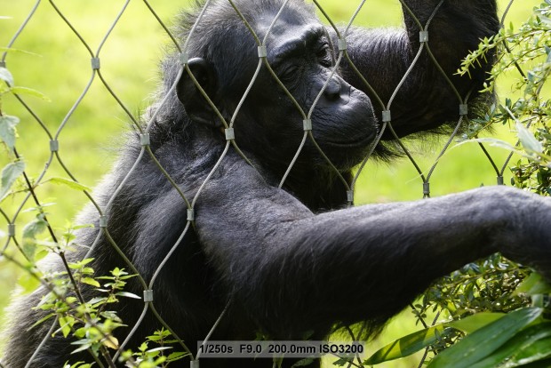 Sony A7S - Beispielbilder (Foto: Andreas Donath)