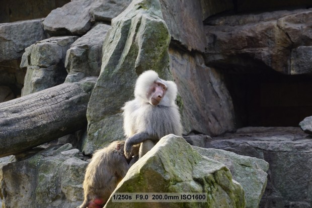 Sony A7S - Beispielbilder (Foto: Andreas Donath)