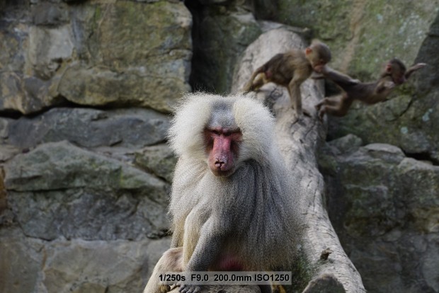 Sony A7S - Beispielbilder (Foto: Andreas Donath)