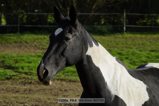 Sony A7S - Beispielbilder (Foto: Andreas Donath)