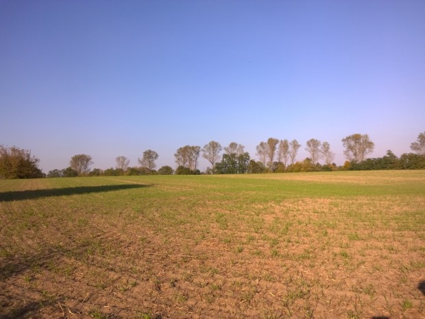 Testfoto Nokia Lumia 930 