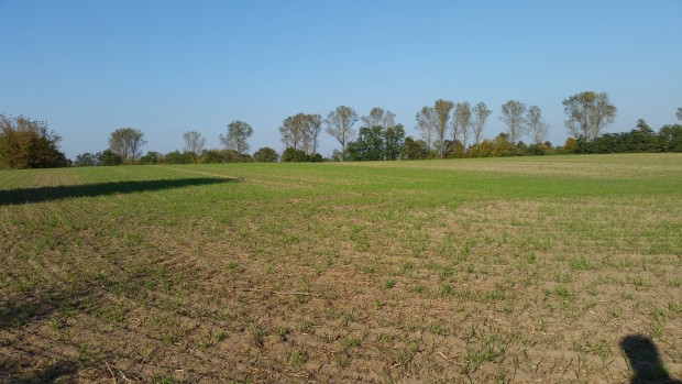 Testfoto Samsung Galaxy S5