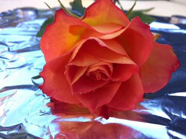 Testfoto Nokia Lumia 930 (mit Stativ)