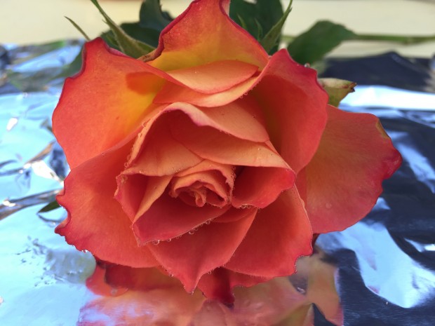 Testfoto iPhone 6 (mit Stativ) (Bilder: Andreas Donath)