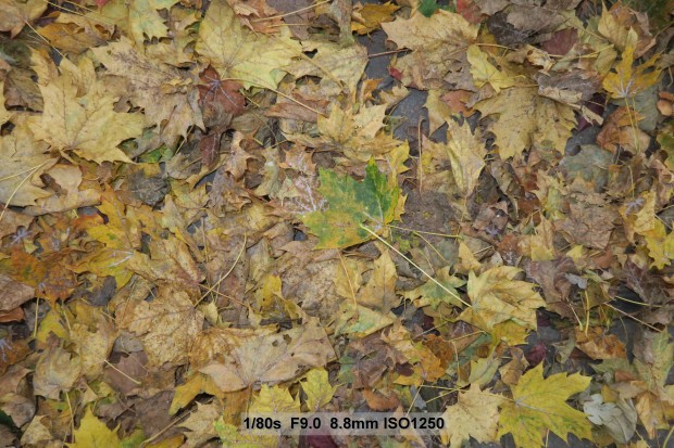 Testfoto Canon Powershot G7 X (Bild: Andreas Donath)