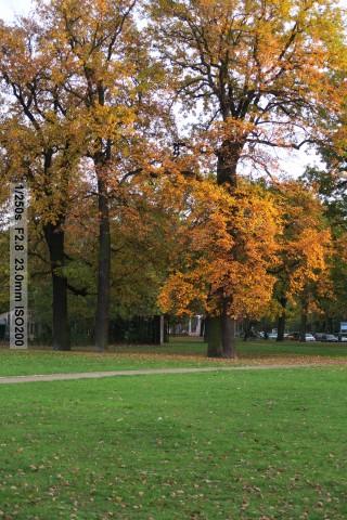 Testfoto Canon Powershot G7 X (Bild: Andreas Donath)