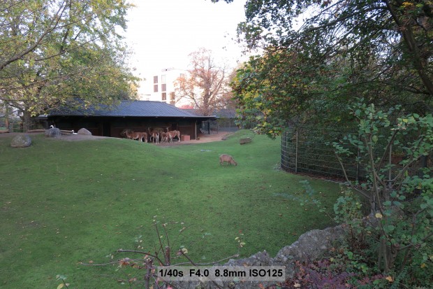 Testfoto Canon Powershot G7 X (Bild: Andreas Donath)