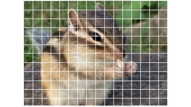 Angedeutete Verteilung des AF-Pixels beim Sony Exmor RS IMX230 (Bild: Sony)