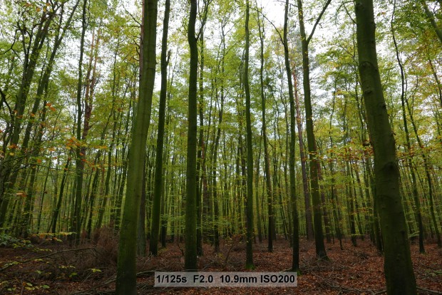 Testbild Panasonic Lumix LX 100 (Bild: Andreas Donath)