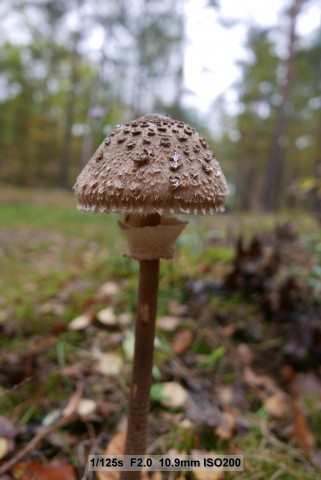 Testbild Panasonic Lumix LX 100 (Bild: Andreas Donath)