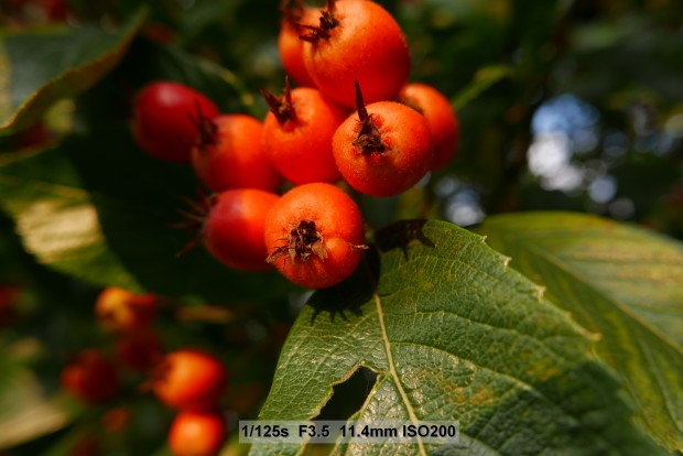 Testbild Panasonic Lumix LX 100 (Bild: Andreas Donath)