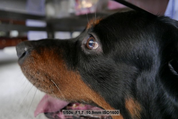 Testbild Panasonic Lumix LX 100 (Bild: Andreas Donath)