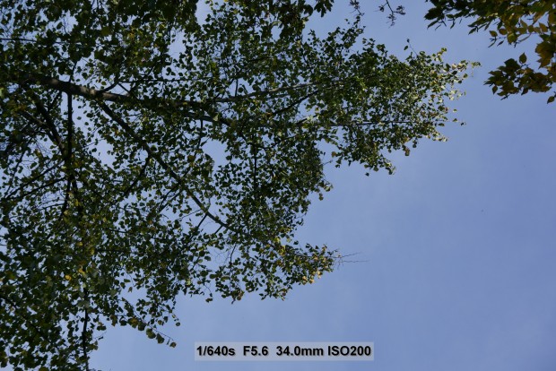 Testbild Panasonic Lumix LX 100 (Bild: Andreas Donath)